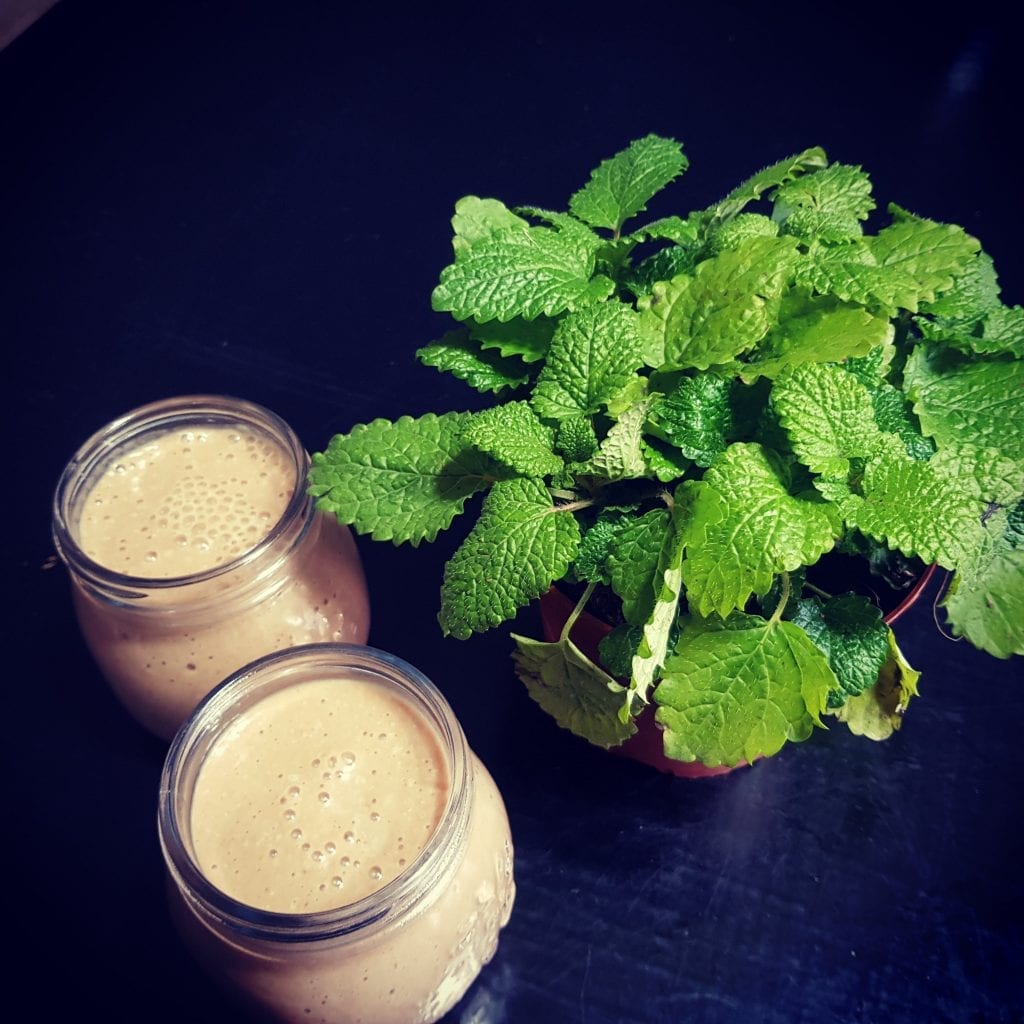 שוקו בריא לילדים 1 שוקו בריא לילדים