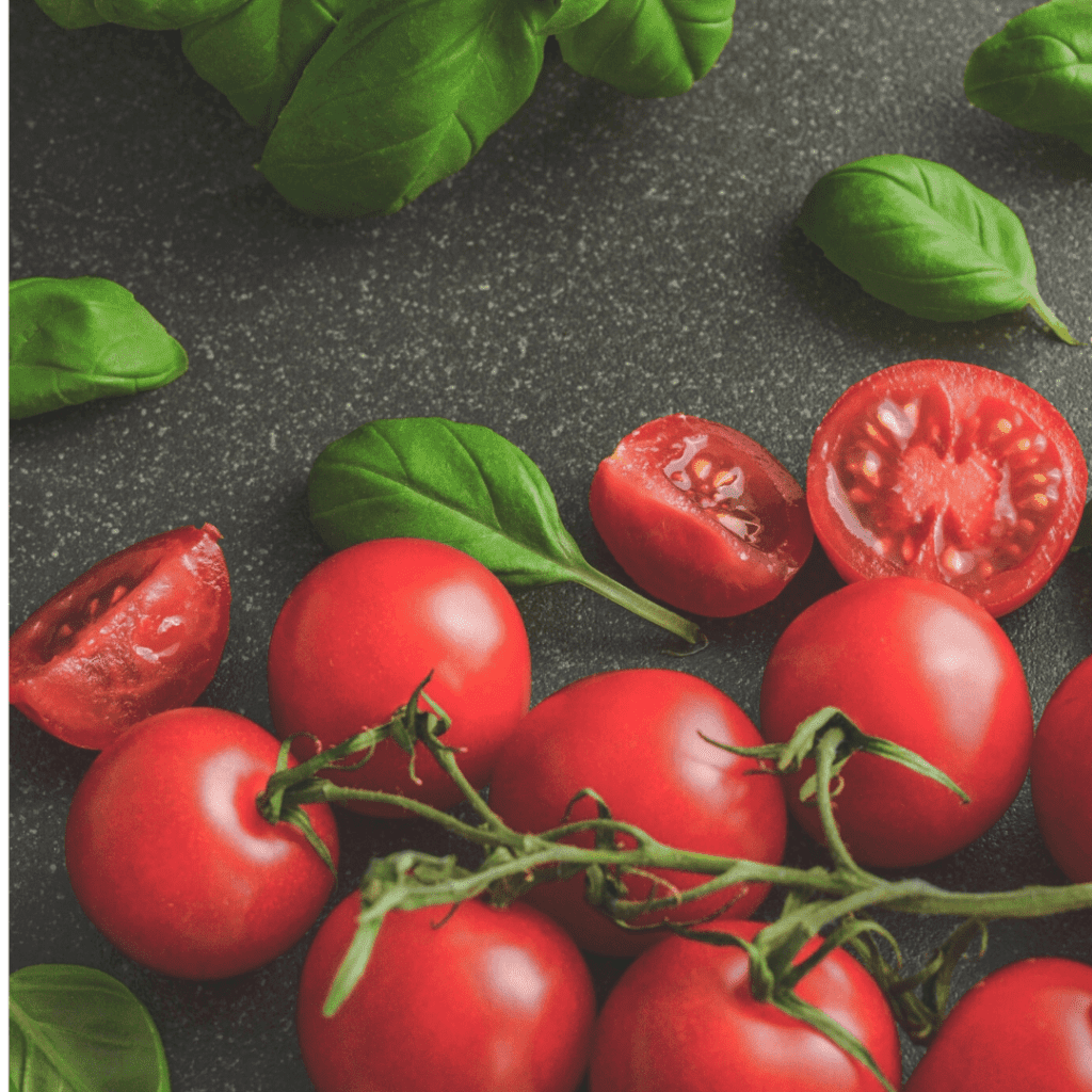 עגבניות - ליז קשקש