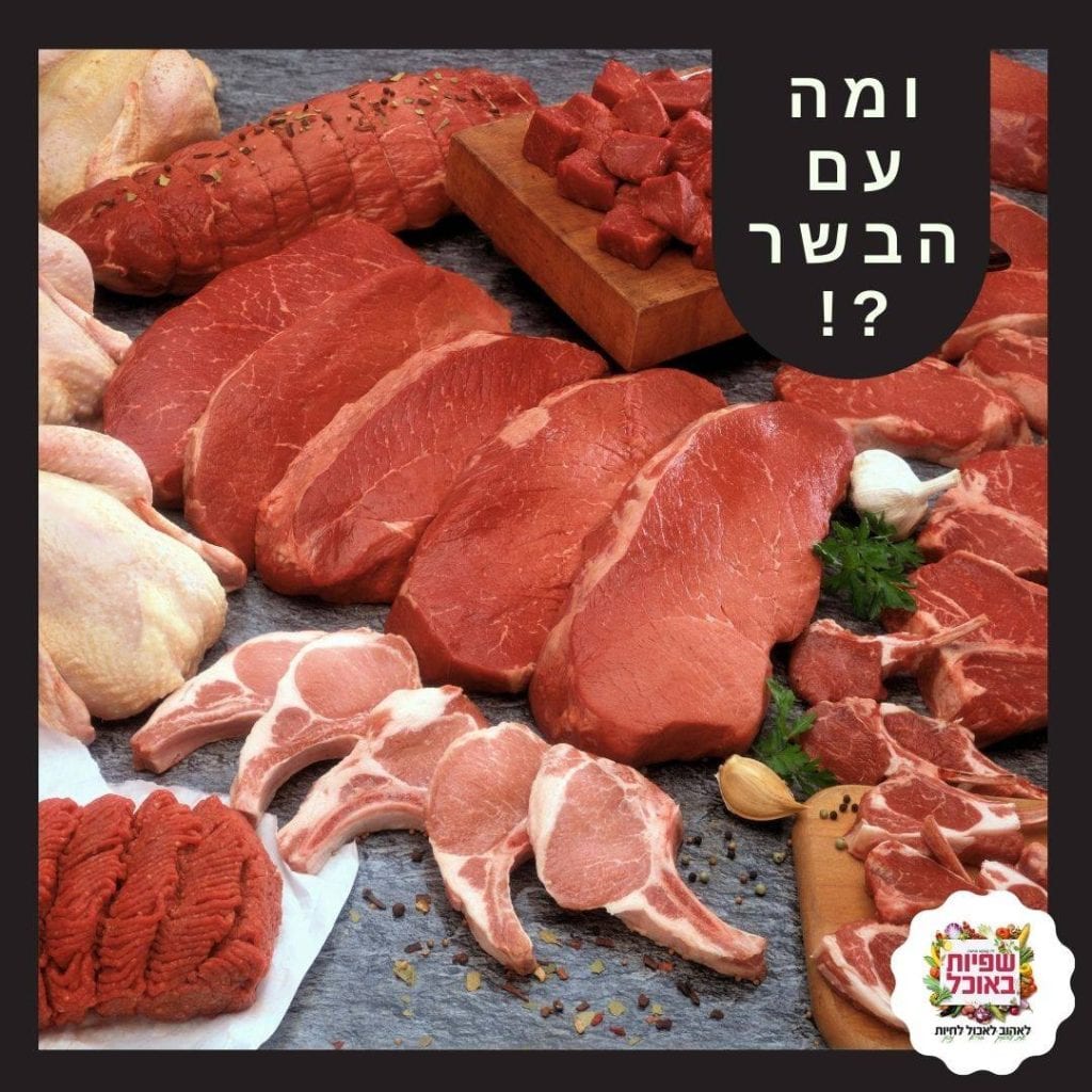 עודף חלבונים מהחי בתזונה 2 עודף חלבונים מהחי בתזונה