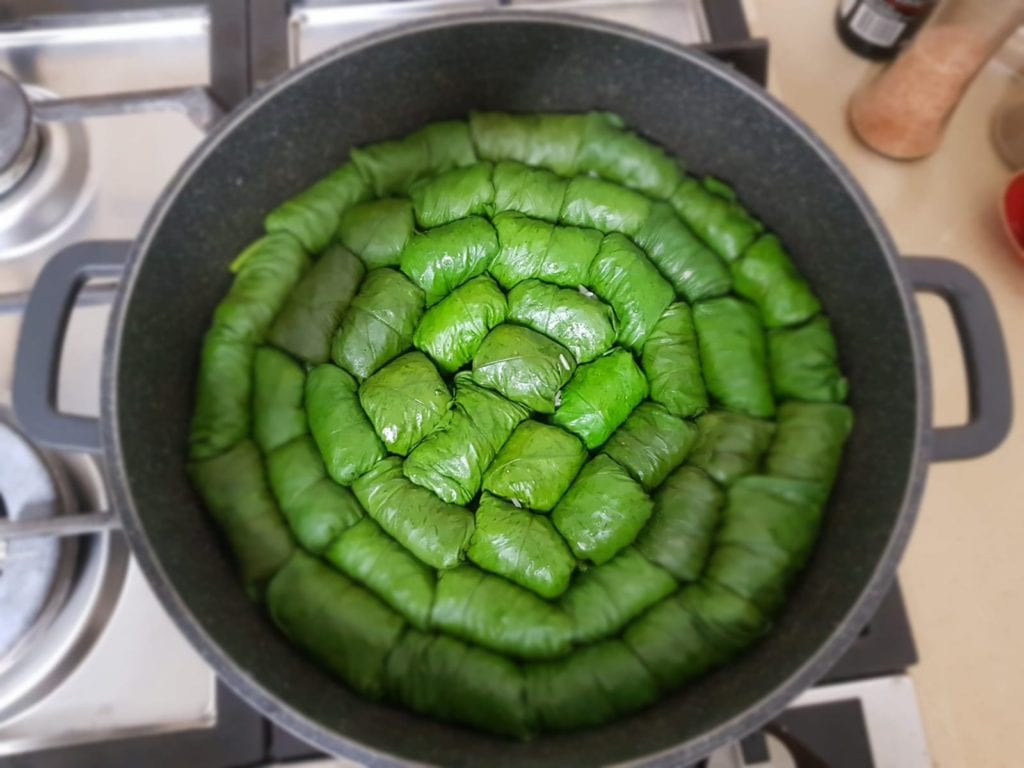 מתכון קל לעלי חובזה ממולאים בסגנון עלי גפן ממולאים