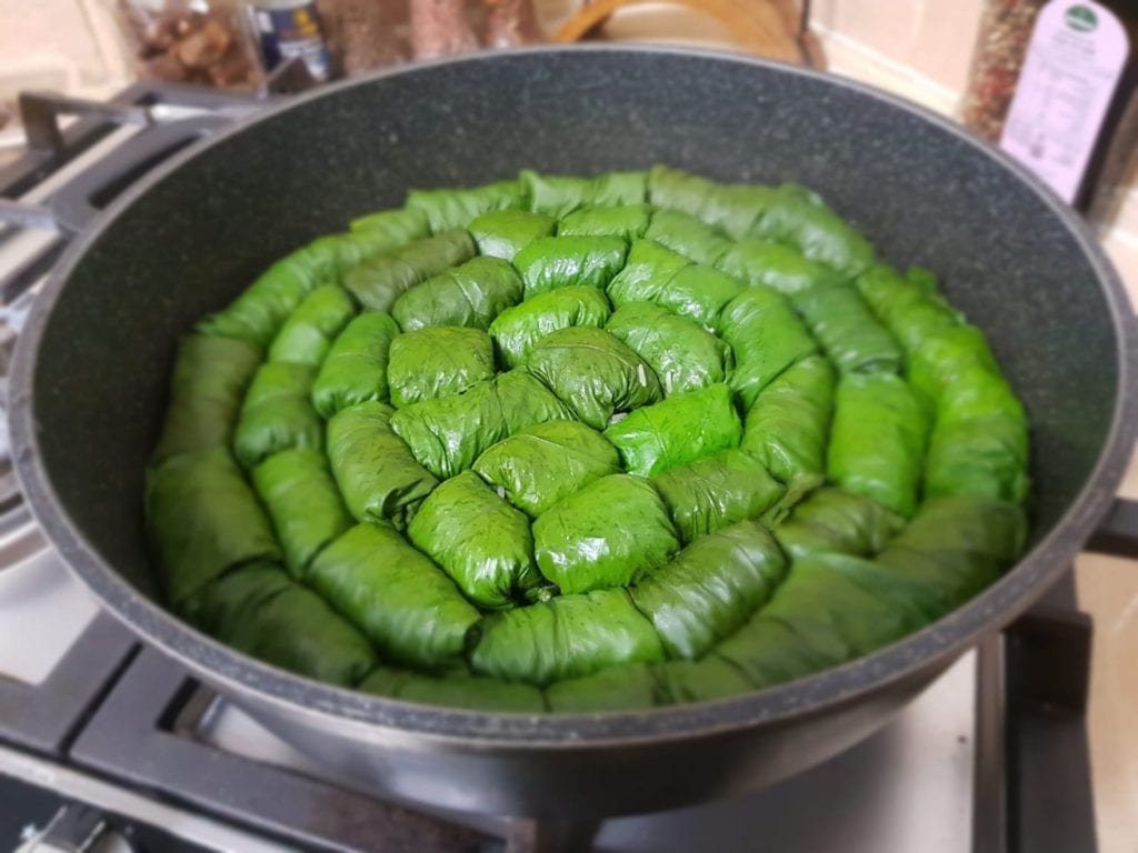 מתכון קל לעלי חובזה ממולאים בסגנון עלי גפן ממולאים