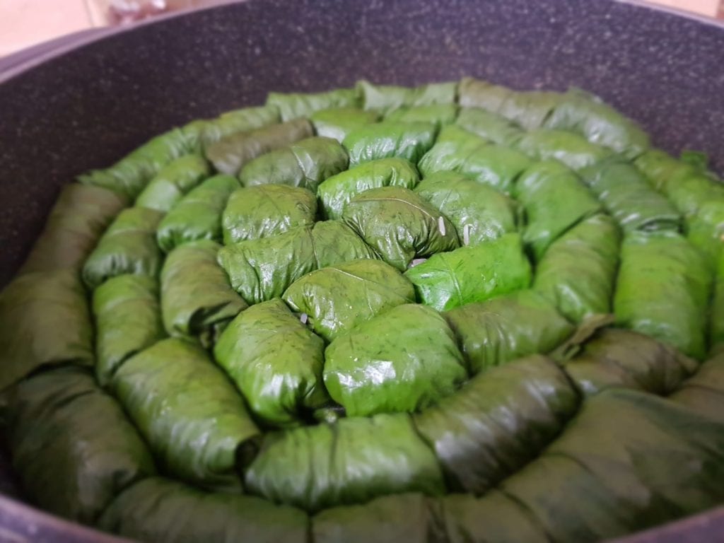 מתכון קל לעלי חובזה ממולאים בסגנון עלי גפן ממולאים
